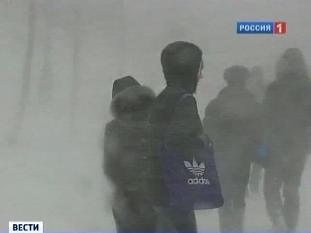Метель и сильный ветер прогнозируются в Сахалинской области
