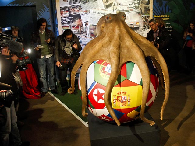 Родственник легендарного осьминога Пауля будет предсказывать результаты Евро-2012