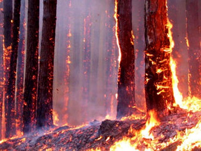 На прошлой неделе сообщалось, что Забайкалье уже начало полыхать - причем палы сухой травы и одновременно лесные пожары начались на неделю раньше, чем в 2011 году