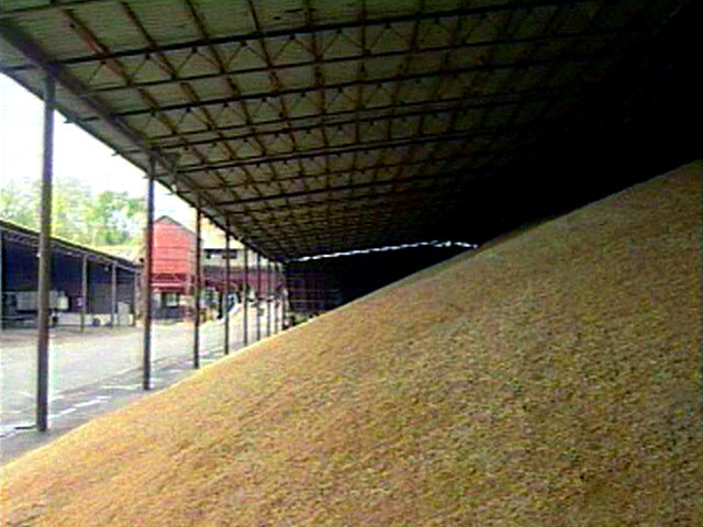 С 1 июля 2011 года по 15 апреля Россия экспортировала 18,5 млн тонн пшеницы
