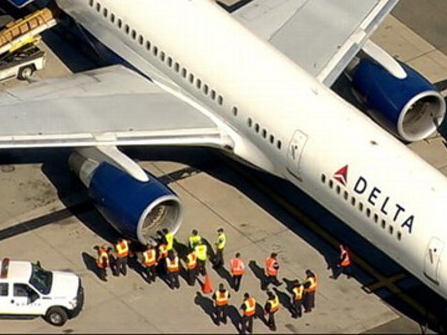 Самолет авиакомпании Delta Airlines, выполнявший рейс по маршруту Нью-Йорк-Лос-Анджелес, вынужден был совершить аварийную посадку после того, как в одну из его турбин попала птица