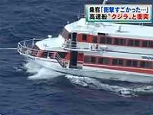 Высокоскоростное судно столкнулось с китом на юге Японии в префектуре Кагосима. Как передает "Интерфакс" со ссылкой на японскую телекомпанию NHK, травмы получили 12 человек