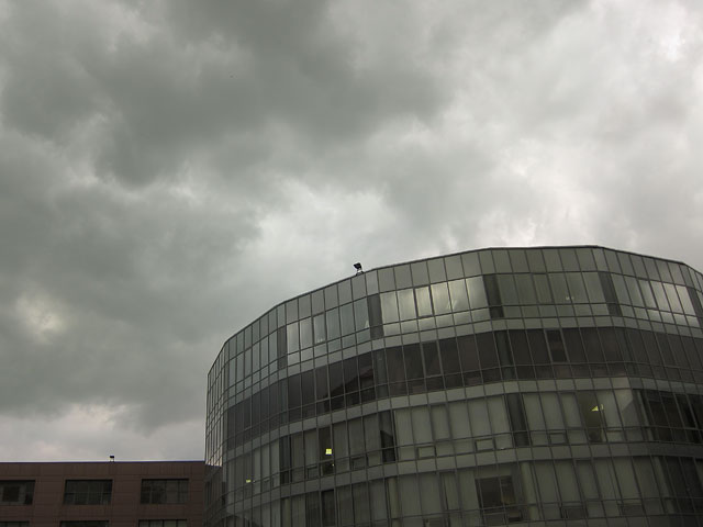 В Москве разразилась желто-зеленая буря, объявлено штормовое предупреждение