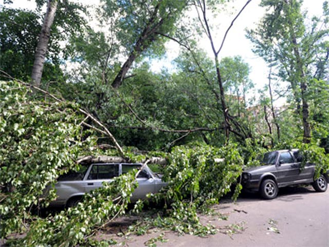 В Москве - штормовое предупреждение, возможно падение деревьев