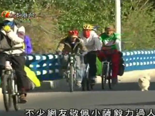 Китайская дворняга проделала 24-дневное путешествие длиной 2000 км с группой велосипедистов