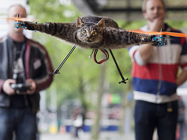 Голландский изобретатель шокировал любителей животных, превратив своего мертвого кота Орвилла в вертолет под названием "Орвиллкоптер"
