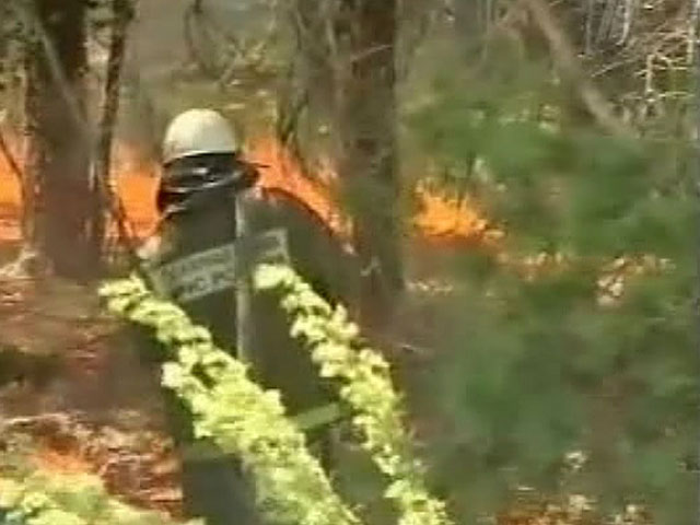 В Туве погибли 9 десантников-парашютистов, тушивших лесной пожар