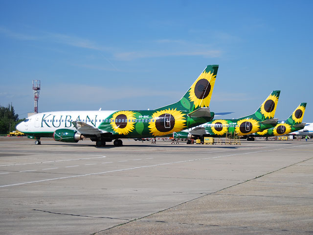 "Базэл": авиакомпания "Кубань" продолжит регулярные рейсы
