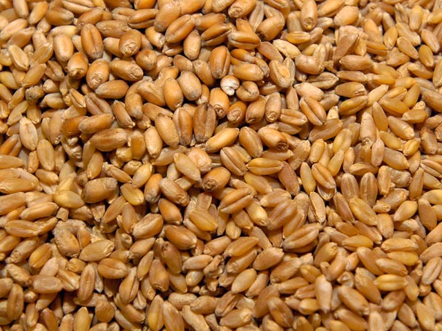 Цены на пшеницу 4-го класса в черноморских портах вчера достигли 8,8-8,9 тысяч рублей за тонну