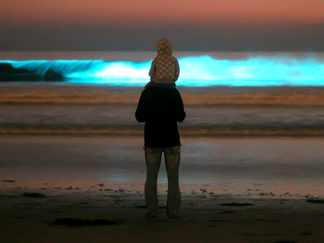 Свечение воды на калифорнийских пляжах бывало и раньше. Местные жители назвали это биолюминесцентное свечение океанского прибоя "красным приливом" - в этот цвет, оказывается, волна окрашивается днем