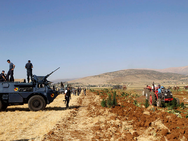 Ливанские фермеры вступили в бой с правительственными войсками и сорвали операцию по устранению посева конопли в долине Бекаа