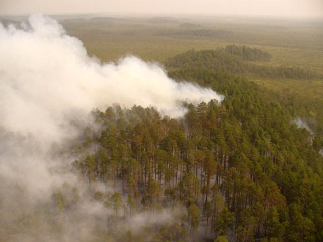 Самолеты и вертолеты МЧС РФ в субботу вылили на горящие леса Томской области 1,11 тысячи тонн воды
