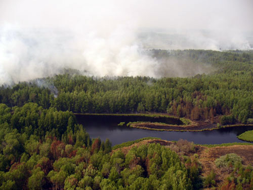 Общая площадь лесных пожаров в Томской области за минувшие сутки сократилась на 25% и на утро воскресенья составила 5,8 тысячи гектаров, что является самым низким показателем за неделю