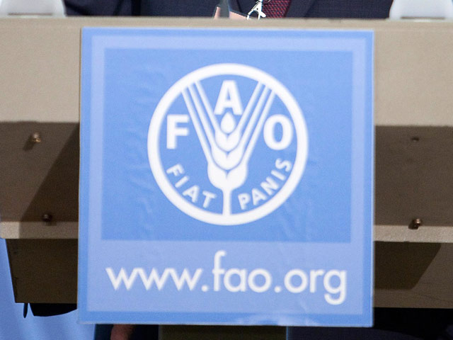 В июле резко повысились цены на продовольствие на мировых рынках, сообщает Продовольственная и сельскохозяйственная организация ООН FAO