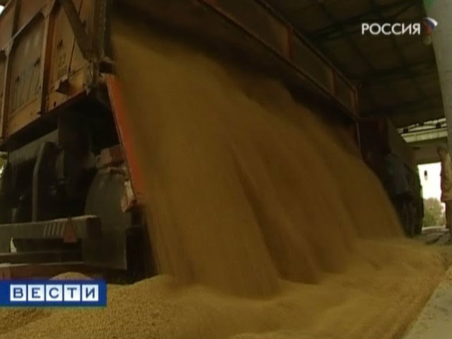Из государственных запасов зерна пропадают десятки тысяч тонн зерна