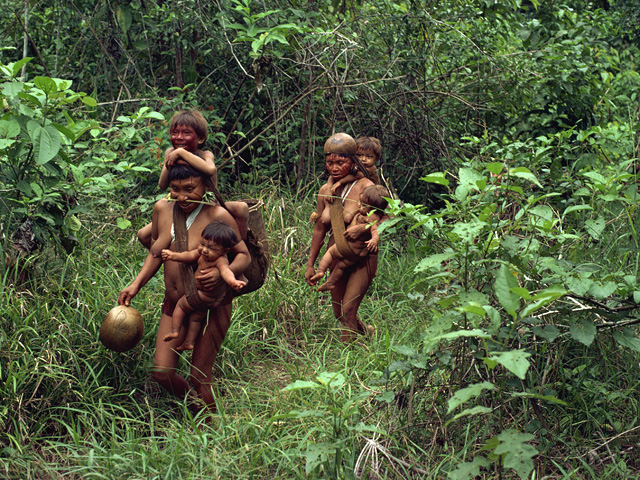 В венесуэльском поселении Иротатери, находящемся в тропических лесах страны недалеко от границы с Бразилией, в результате массового убийства, по неофициальным данным, погибли около 80 человек