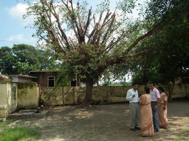 Хотя священник и монахиня, подрезая деревья, заботились о воде для школы и учеников, их обвинили  в нанесении ущерба дикой природе