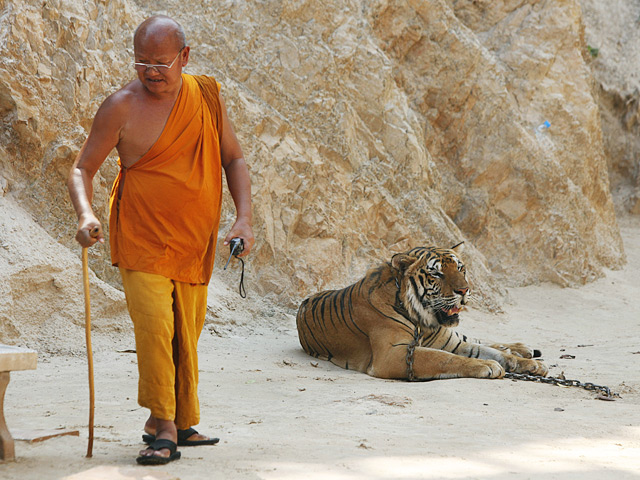 Финансовая проверка выявила, что с туристов, посещающих храм, действительно взимаются деньги в виде "пожертвований" на зоопарк - по 300 таиландских бат (около 300 рублей) с граждан Таиланда и 600 бат с иностранцев