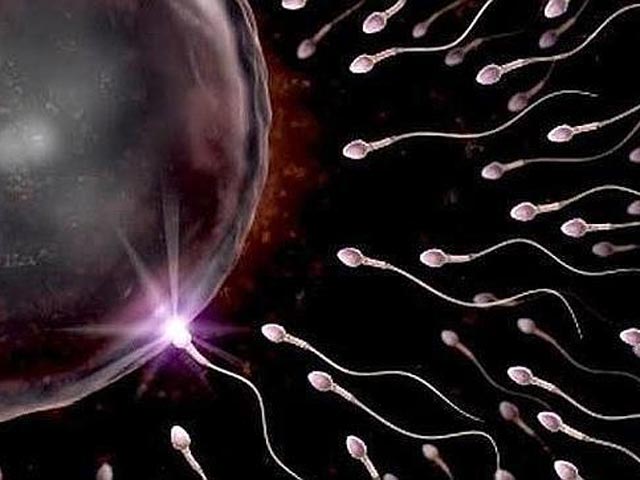 Мужская семенная жидкость, оказывается, может служить не только для зачатия детей, пишет InoPressa со ссылкой на ABC. Его авторы приводят восемь полезных свойств спермы, о которых прогрессивное человечество вряд ли догадывается