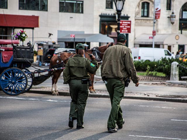 Эксперты США обращают внимание на то, что нью-йоркские парки недостаточно хорошо охраняются. Если в 1990-е годы "зеленую зону" оберегали 450 офицеров полиции из специальной парковой патрульной службы, то в 2002 году их число было сокращено до 156 человек