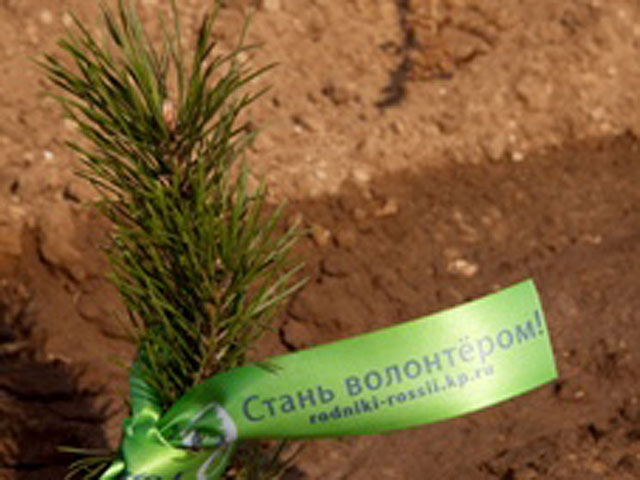 В рамках ставшей уже ежегодной экологической акции "Поможем природе вместе!", которая с августа по октябрь проходила в семи регионах Российской Федерации, во дворах городов и лесах были высажены более 50 тысяч деревьев