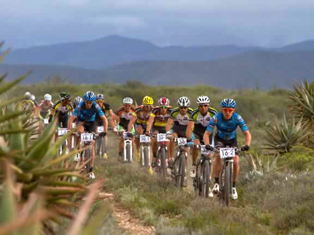 Тринадцать велогонщиков были госпитализированы в ЮАР после атаки роя ос, гнездо которых они потревожили во время гонки в провинции Западный Кейп