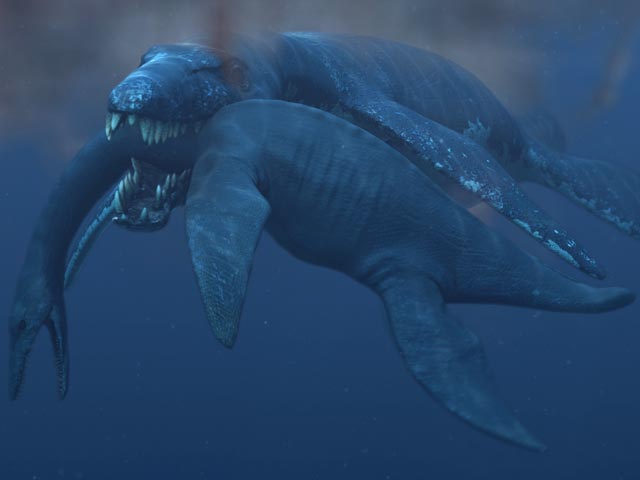 Гигантской морской рептилии, открытой еще в 2009 году и известной как "хищник Икс", наконец дали официальное имя - Pliosaurus funkei