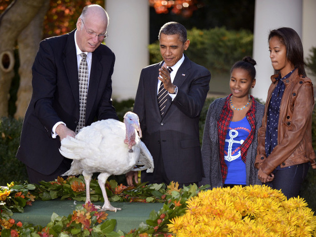 Президент США Барак Обама, по традиции, помиловал индюков Кобблера и Гобблера, присланных к президентскому праздничному столу ко Дню благодарения
