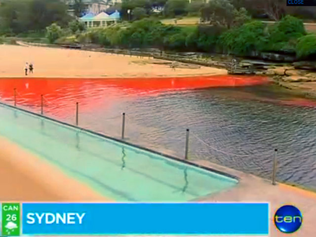 Сразу несколько популярных пляжей в Сиднее оказались закрытыми во вторник в связи с необычным явлением - вода на побережье окрасилась в ярко-красный, кровавый цвет