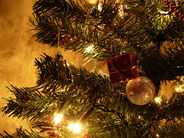 В американском колледже запретили продажу елок с упоминанием слова "Рождество"