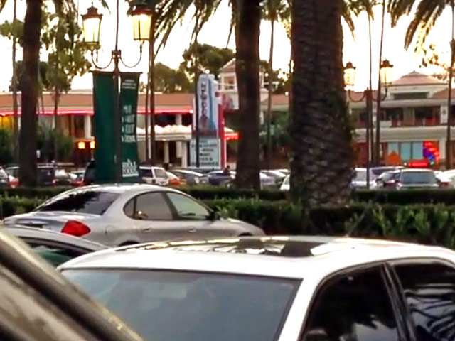 Полиция арестовала американца, открывшего стрельбу на парковке одного из крупных торговых центров калифорнийского города Ньюпорт-Бич