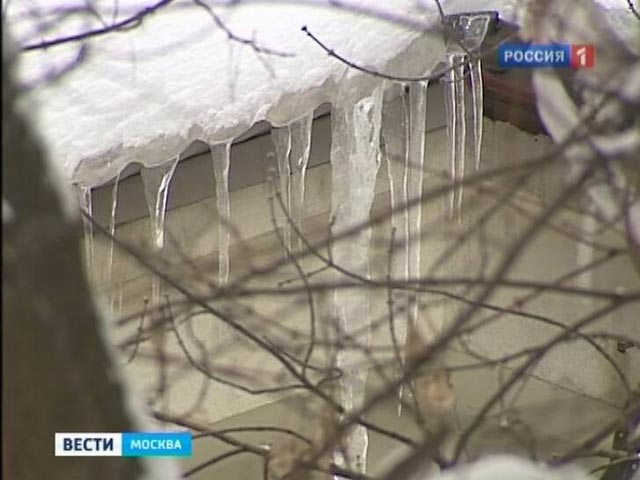 В Москве оттепель - тает прошлогодний снег