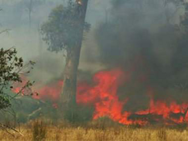 Около ста человек считаются пропавшими без вести после того, как по острову Тасмания, в 240 км от юго-восточного побережья Австралии, прошли несколько сильных лесных пожаров