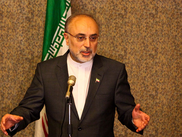 Переговоры "шестерки" по иранской ядерной программе пройдут в Казахстане в феврале, сообщил глава МИД Ирана Али Акбар Салехи на 49-й мюнхенской конференции по безопасности