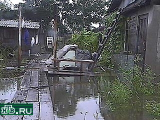 В Приморье ущерб от тайфуна "Проперон" превысил 65 млн рублей