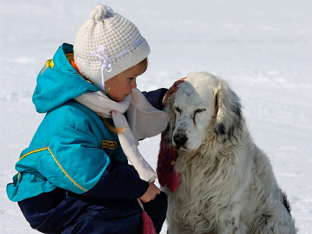 Петербургские депутаты хотели снабдить животных паспортами и запретить детям гулять с большими собаками