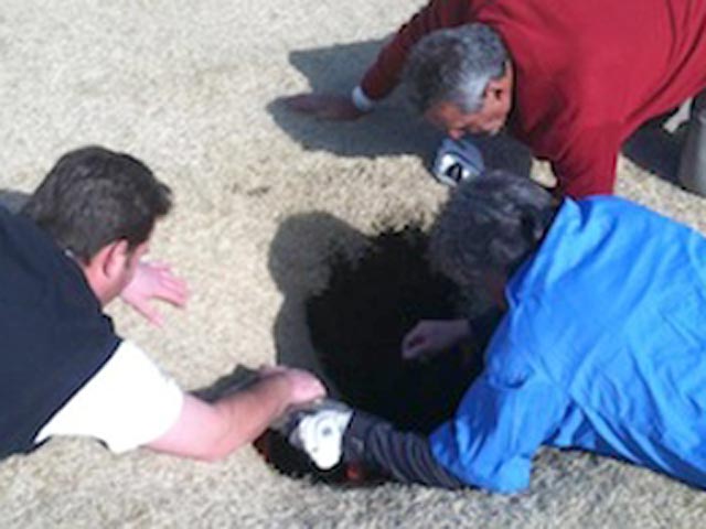 На поле для гольфа в городе Ватерлоо в штате Иллинойс произошло необычное происшествие: вместо мячика для гольфа под землю провалился человек