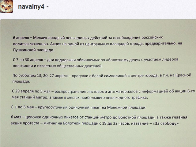 Фото графика выложил в Instagram Алексей Навальный