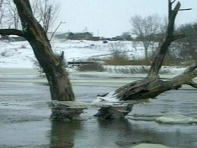 Из-за подъема уровня воды в Дону в Ростовской области частично могут быть подтоплены 14 населенных пунктов