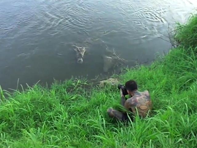 Фотограф-любитель из Коста-Рики едва не лишился жизни, пытаясь снять крокодилов в естественной среде обитания