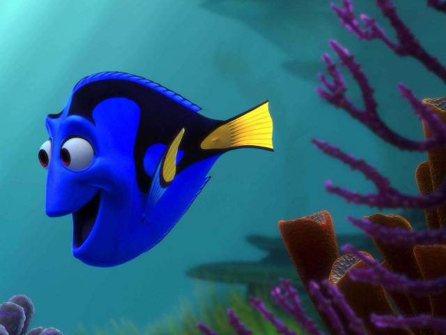 Продолжение анимационного фильма "В поисках Немо" (Finding Nemo) выйдет на большой экран 25 ноября 2015 года