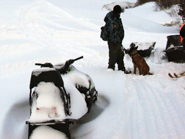 В горах Хакасии обнаружен погибшим турист, попавший под снежную лавину