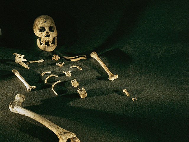 Мародеры, искавшие драгоценности во дворце свергнутого президента Центральноафриканской республики Франсуа Бозизе, нашли тайник с двумя скелетами