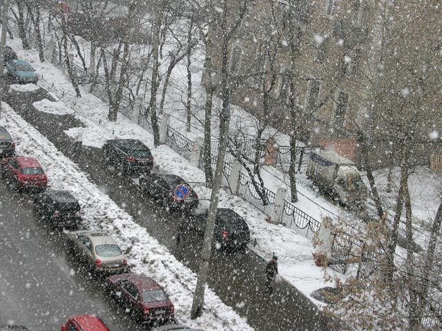 Неустойчивая и прохладная погода ожидает жителей Центральной России на этой неделе - температура будет примерно на два градуса ниже нормы, а в ночные часы на севере региона пройдут дожди, местами с мокрым снегом