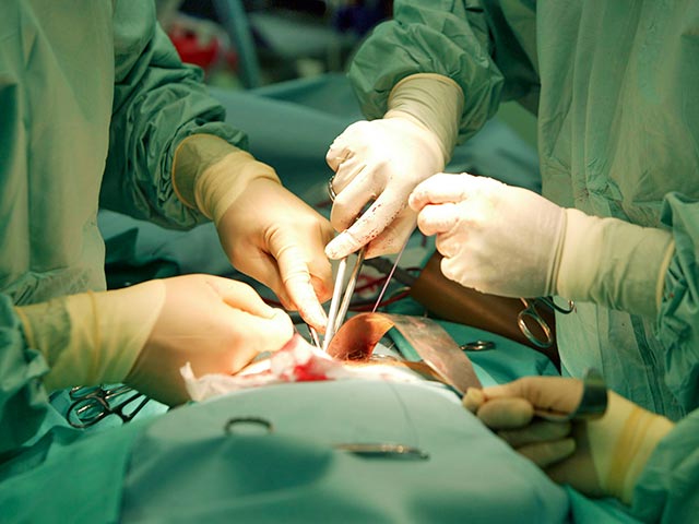 Новый законопроект о донорстве органов, частей органов человека и их трансплантации, разработанный Минздравом РФ, разрешит посмертное изъятие органов у детей для пересадки, но у сирот изымать органы будет запрещено