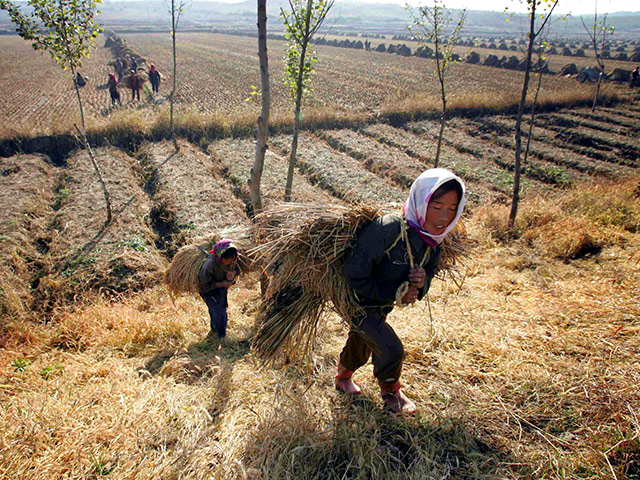 Сообщения о голоде в КНДР, распространяемые некоторыми западными СМИ, "не соответствуют действительности", уверяет замруководителя представительства Продовольственной и сельскохозяйственной организации Объединенных Наций (FAO)