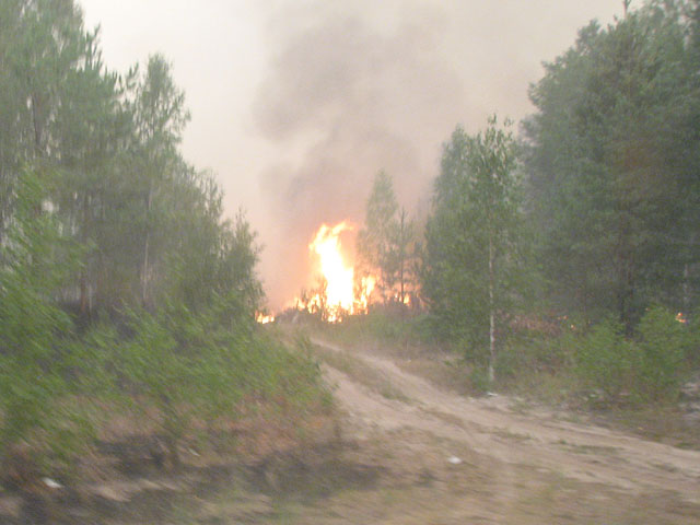 Госсовет дал ряд президентских поручений правительству РФ, в которых учитываются требования "Гринпис" по искоренению "лесопожарной лжи" и введению четких ограничений на выжигание сухой растительности
