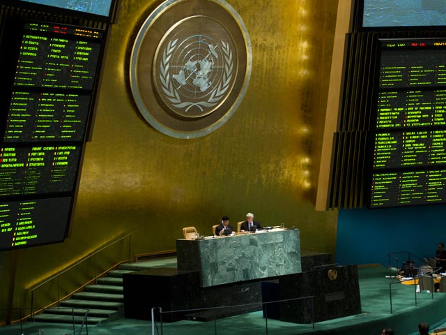 Генеральная Ассамблея ООН, 15 мая 2013 года
