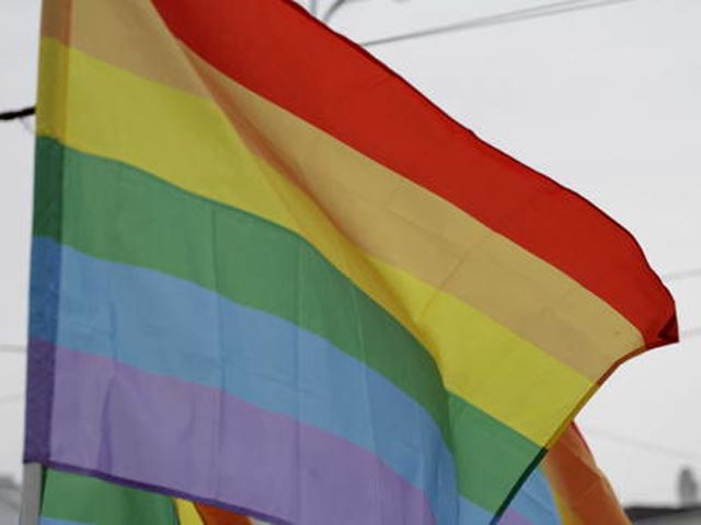 Киевский окружной суд удовлетворил иск городских властей о запрете проведения 25 мая гей-парада и любых других мероприятий, кроме предусмотренных программой празднования Дня города