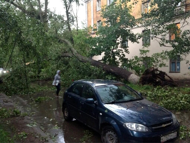 В Туле вновь непогода, порывы штормового ветра повалили десятки деревьев, часть из которых упала прямо на припаркованные рядом машины